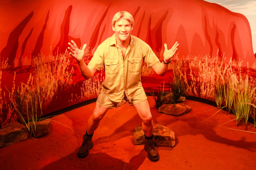 Világszerte megemlékeznek Steve Irwin közkedvelt állatkerti gondozóról és természetvédőről