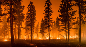Erdőtüzek oltása: Villámcsapások, túlzott hőség, óvatlanul felállított tábortüzek mind vezethetnek katasztrofális erdőtüzekhez. A katonaság már számtalanszor segített kontrollálni az ilyen helyzeteket, akár a tűz terjedésének megállításával, akár magával a tűzoltással.