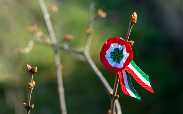 Ma van a magyar kisebbségek napja