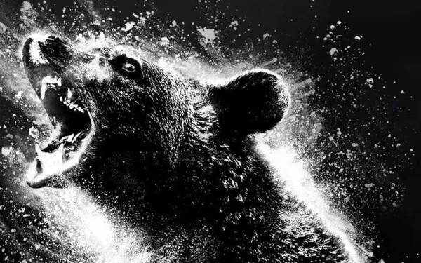 MEGJELENT: Bedrogozott medve pusztít Hollywood legújabb fekete komédiájában