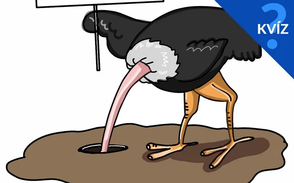 ostrich that buries its head in the sand
