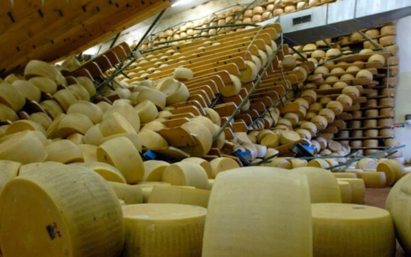 Több tonna sajt zuhant egy férfira – azonnal meghalt