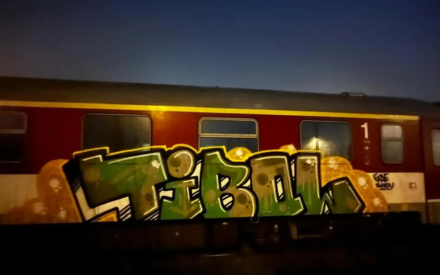 Tetten ért a rendőrség egy nőt, amint telegraffitizett egy vonatot (FOTÓK)