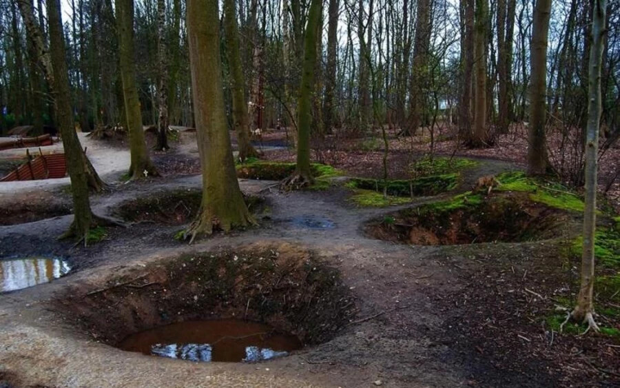 Ypres feletti erdők, Belgium: Az erdő, amely egy Ypres város feletti dombon helyezekdik el, az idők során szinte makulátlanul fennmaradt lövészárokrendszert tartalmaz. Az első világháború után egy helyi földműves döntött úgy, hogy érintetlenül hagyja a helyszínt szögesdrótokkal, törött fákkal és robbanás okozta gödrökkel együtt.