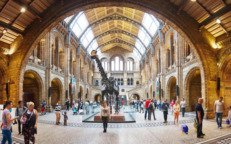Nagy-Britannia több mint 150 őskori lényt tudott összegyűjteni a legkisebbektől a legnagyobbakig. A londoni múzeumben pedig olyan lények emlékében merülhetnek majd el, melyek csaknem 70 millió évvel ezelőtt éltek.