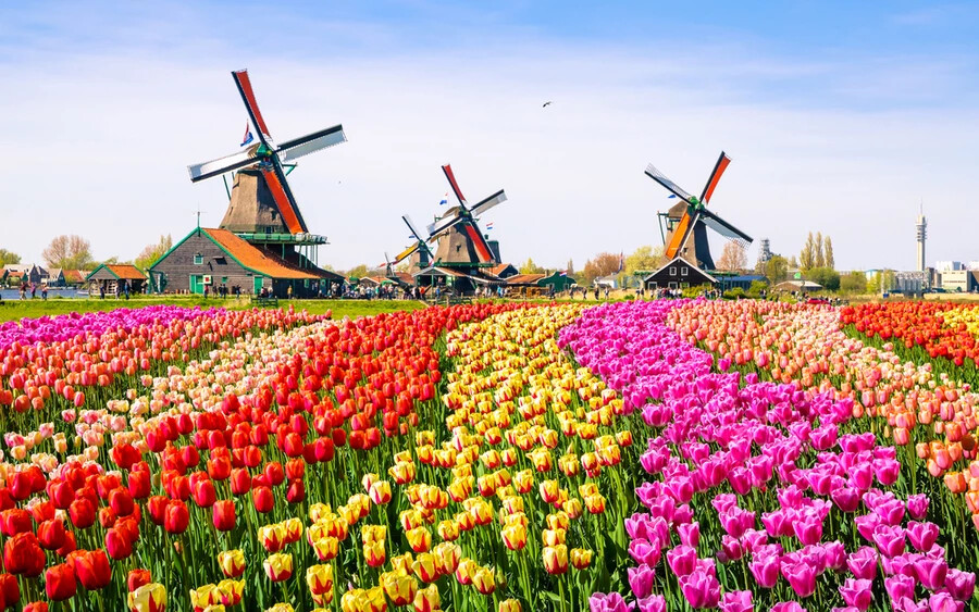 Hollandia: Bár Hollandiát a legtöbben Amszterdam szépségéért látogatják meg, az ország számtalan, további helyszínnel várja a kíváncsi turistákat, melyek nincsenek híján színes utcai életnek, valamint nyugalmas kávéházaknak.