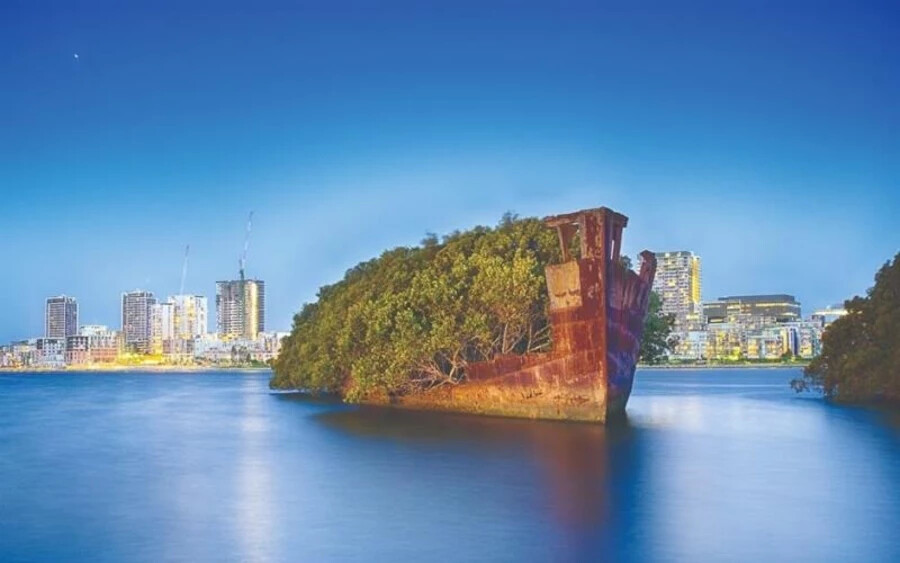 SS Aryfield, Sydney, Ausztrália: Az elhagyatott teherhajó ma is nyomasztó látványt nyújt Sydney egyik kikötőjében. A hajót még 1911-ben építették, és évtizedeken át szolgált különféle konfliktusok és háborúk során, egészen a 70-es évekig. Mára benőtte a növényzet, így néha „Úszó Erdőnek” is nevezik.